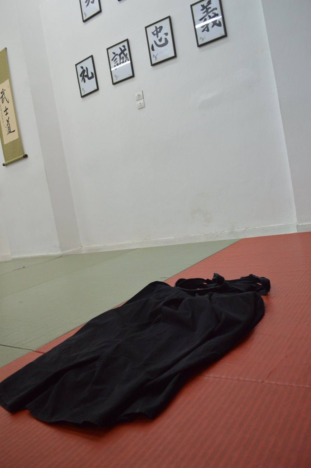 abc common aikido practice121