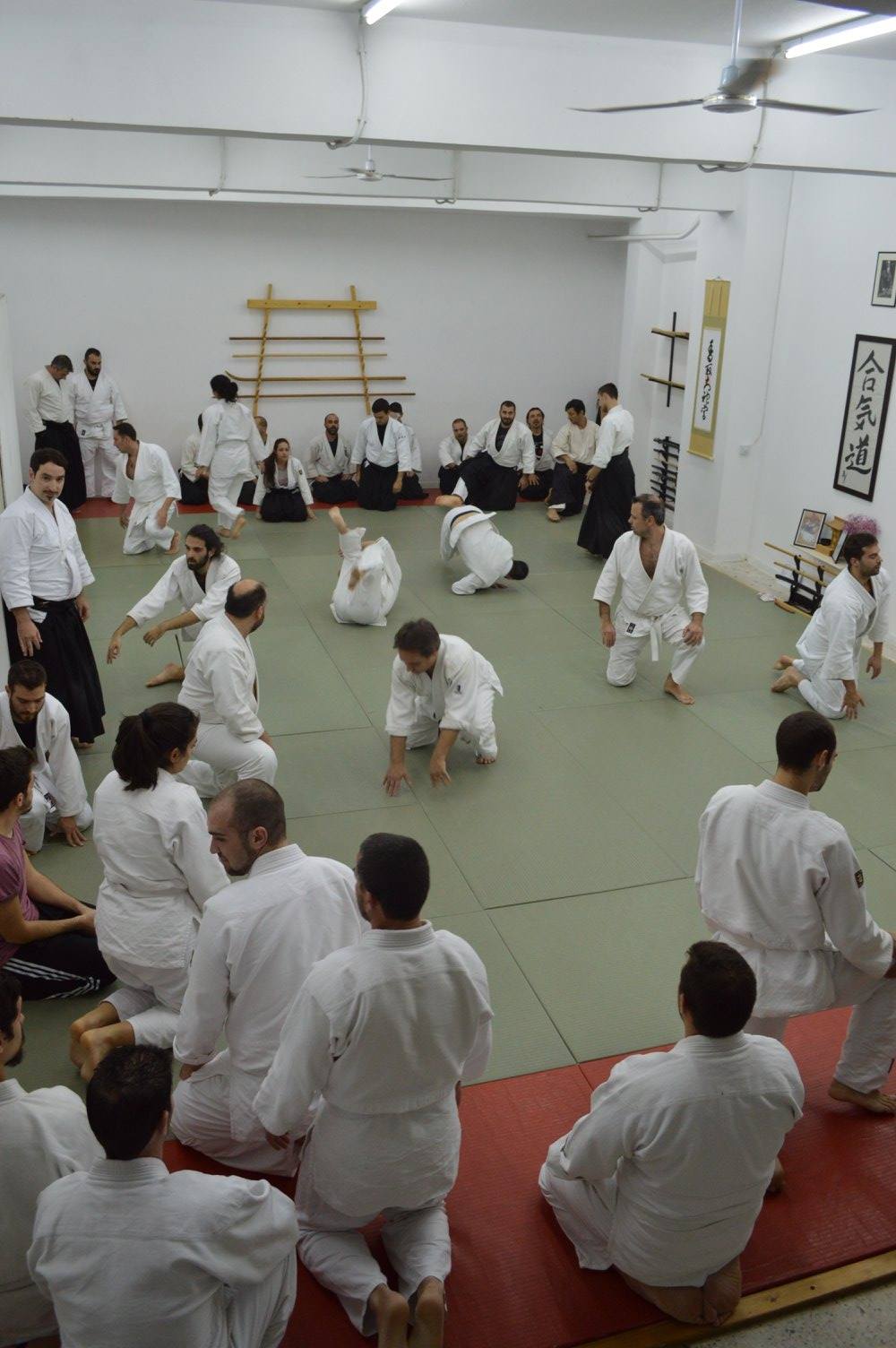 abc common aikido practice19