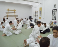 abc common aikido practice108
