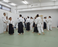 abc common aikido practice4