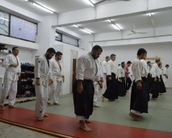 abc common aikido practice13
